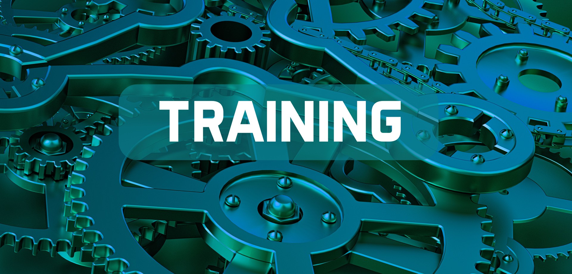 defense training programs security capacity building services intelligence training courses security leadership development defense skills training