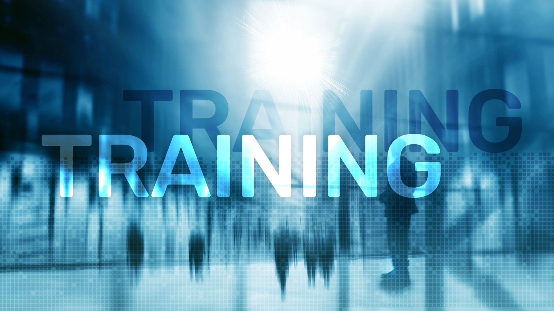 defense training and capacity building, intelligence training services, security management training, defense capacity development